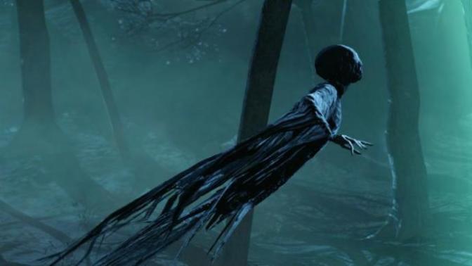 Dementors are real creatures, here is the proof.