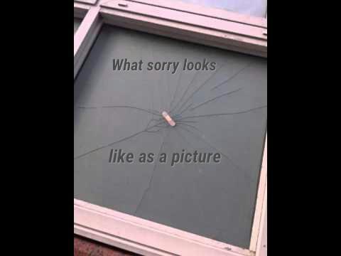 Can Trust Be Rebuilt?