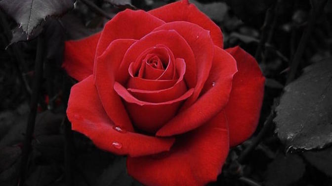 A Love Letter To An Undiscovered Lover..