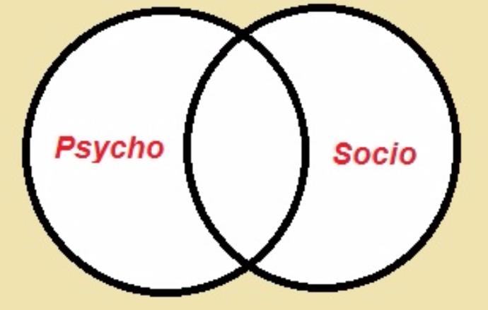 I'm Not A Sociopath, I'm A Psycho!