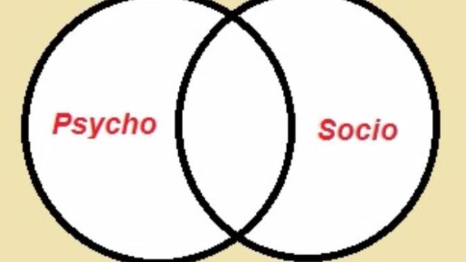 I'm Not A Sociopath, I'm A Psycho!