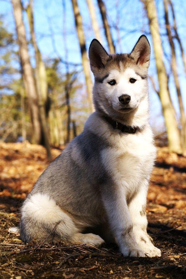 Your Unpopular Opinions