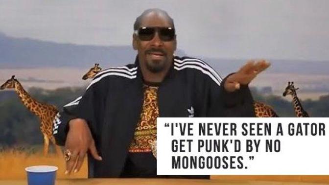 Planet Snoop: Snoop Dogg Narrates A Weed-Inspired Nature Show