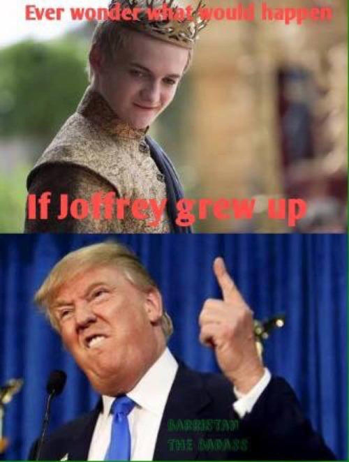Reasons to Vote Donald Trump for President