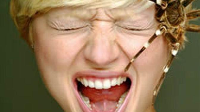Reveal Your Phobia!