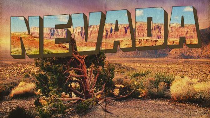 A Tribute To My Home State, Nevada