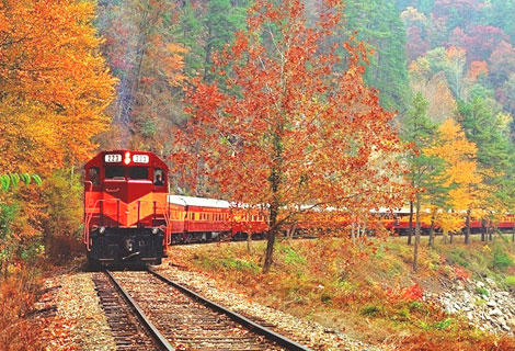 An Ode to North Carolina:More about my wonderful state and the tourism.