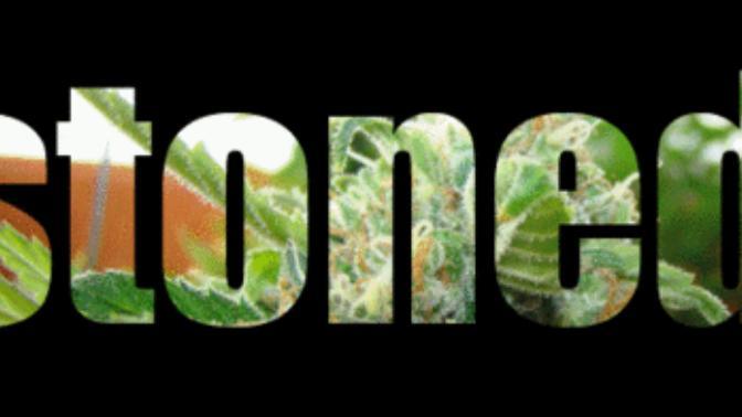 The Struggles Of Dating A Stoner
