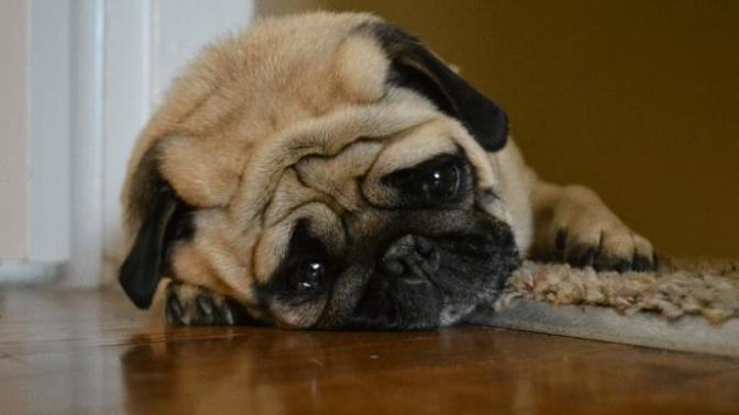 How To Handle Being Sad