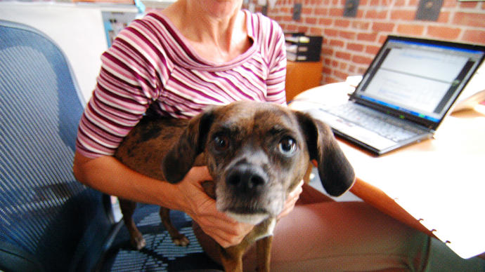 UK Company Adopts Pet Leave: Is This The Future?