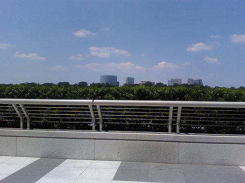 My First Vacation, and Being On My Own in a Big City