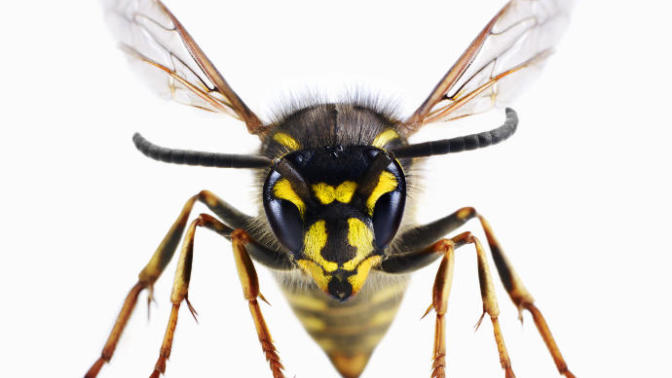 9 Reasons Why I Hate The Summer Time