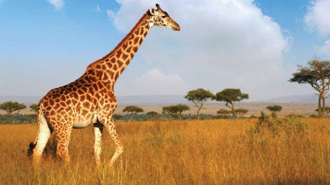 21 Reasons Why It's Just Better To be Tall