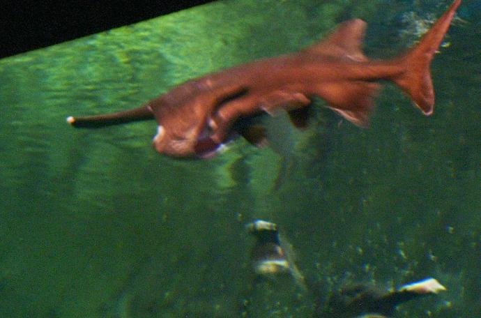 My First Time Leaving Home: From the Island to the Mainland