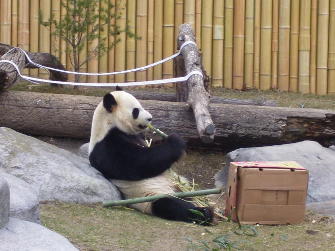 My First Time Leaving Home: From the Island to the Mainland