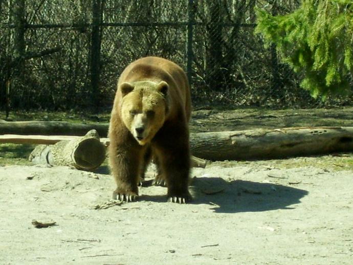 My First Time Leaving Home: From the Island to the Mainland