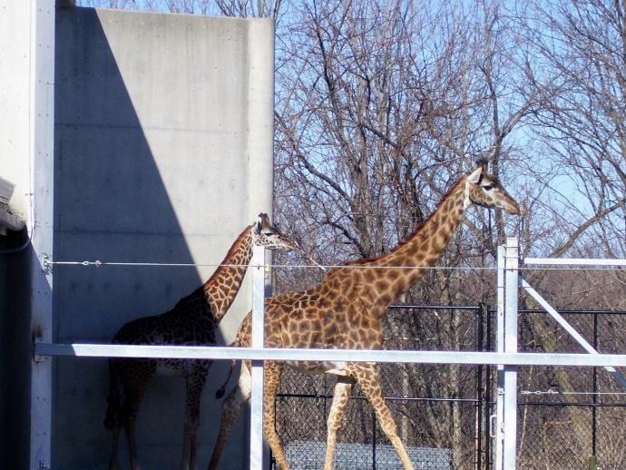 My First Time Leaving Home: From the Island to the Mainland