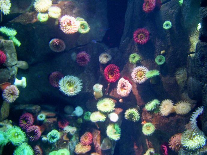 My First Time Leaving Home: From the Island to the Mainland