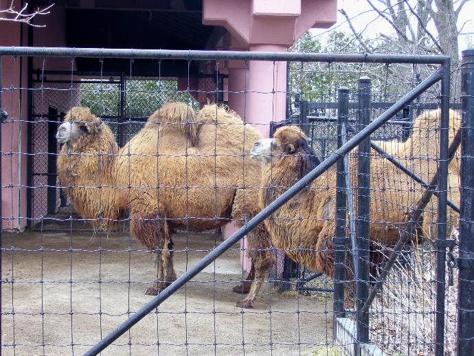 My First Time Leaving Home: From the Island to the Mainland