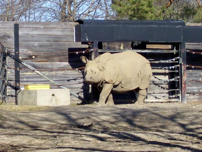 My First Time Leaving Home: From the Island to the Mainland