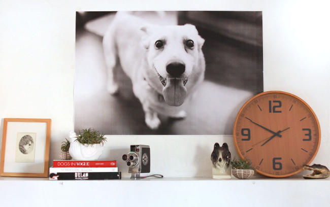 15 Totally Free or Inexpensive Gift Ideas for Him