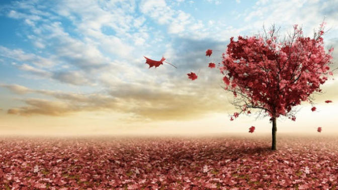 When Your Romeo is Your Rosaline: The Pain of Unrequited Love