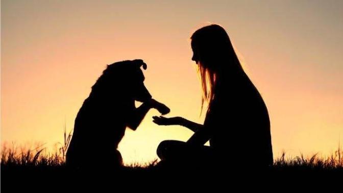 10 Reasons Why It's Awesome to Have Pets