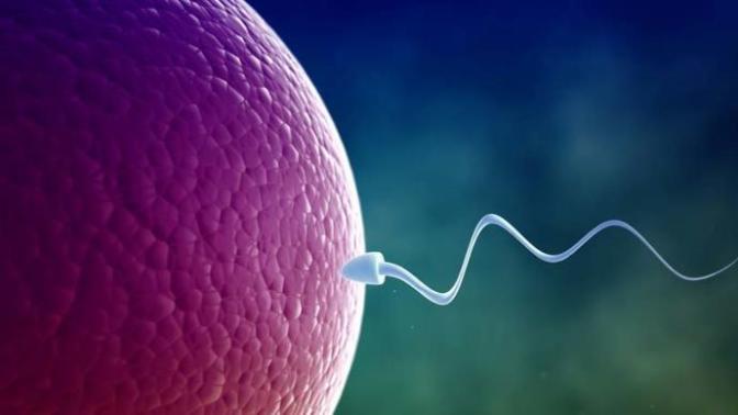 Abortion Debate: Both Sides Are Flawed
