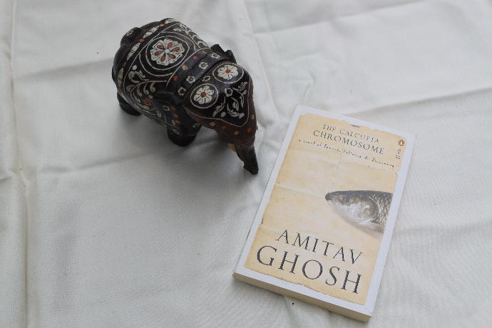 Fantastic Indian English Literature: 5 Must-Read Books