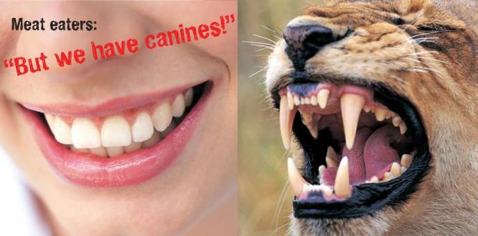10 Things I Hate About Meat Eaters