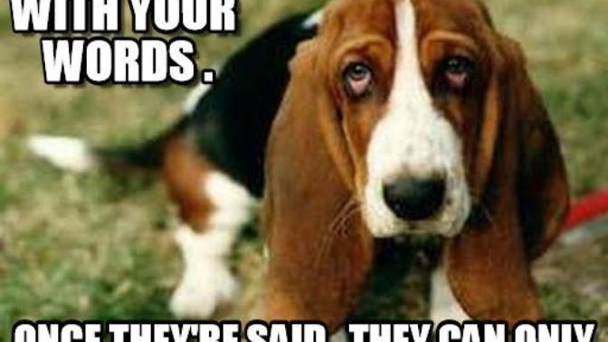 5 Reasons Why You Should Know What You're Saying