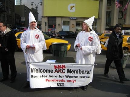 There Is So Much More To Hating PETA Other Than "Annoying Vegans"