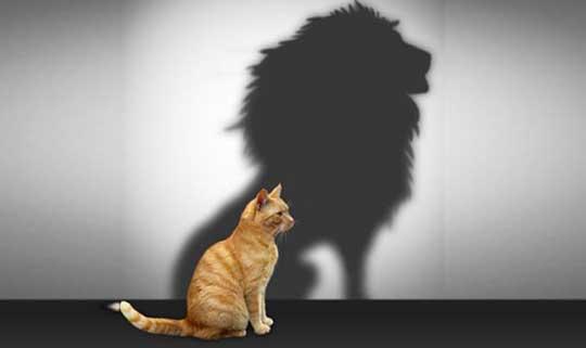 Ways To Help Improve Your SO's Self-Esteem
