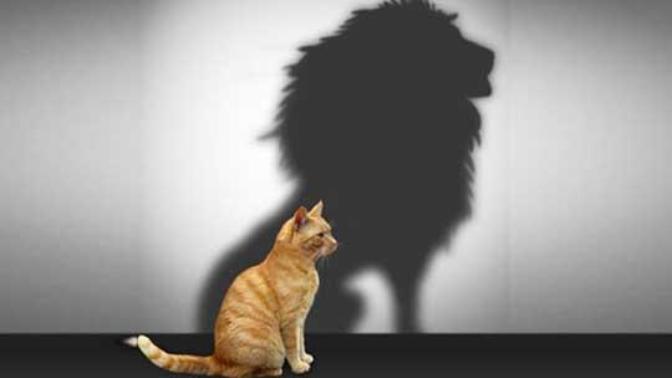 Ways To Help Improve Your SO's Self-Esteem