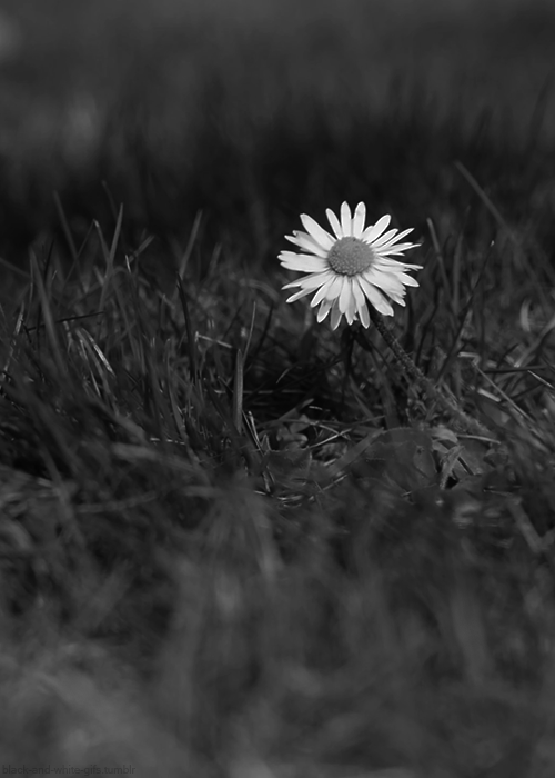 Goodbye, My Dear Friend