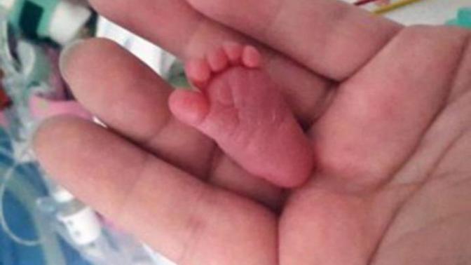 6 of the Most Amazing "World's Smallest..."