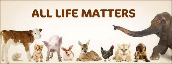 Meat Eating vs. Veganism: A Detailed Rant