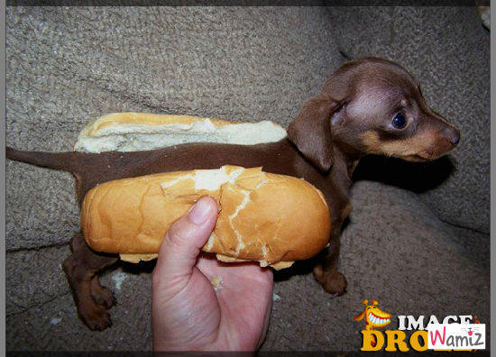 14 Non-Existential Questions That Deserve an Answer