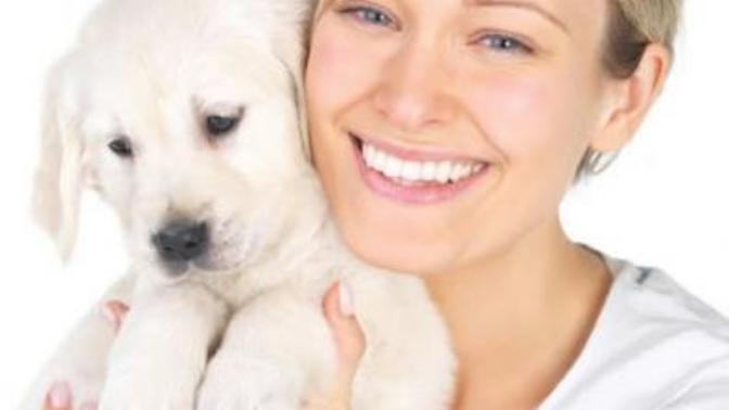 #1 Way to Attract Men: Treat Him Like A Dog