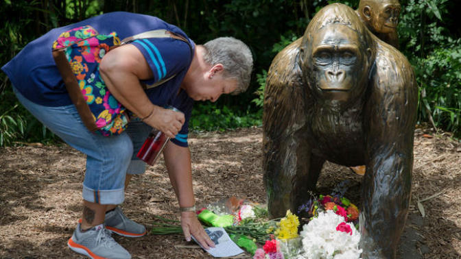 Zookeeper Explains What Harambe the Gorilla Was Actually Doing With the Kid