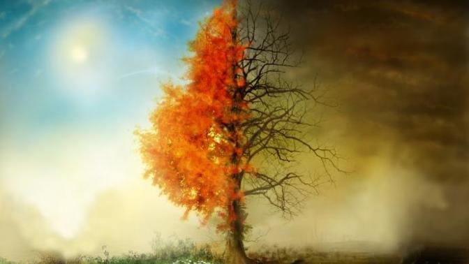 Life and Death: Why It All Matters