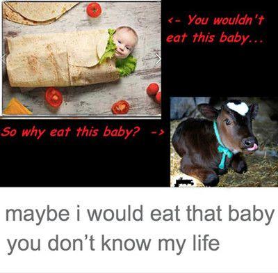 You Can Be An Animal Lover & Still Eat Meat: To You Vegans & Vegetarians!