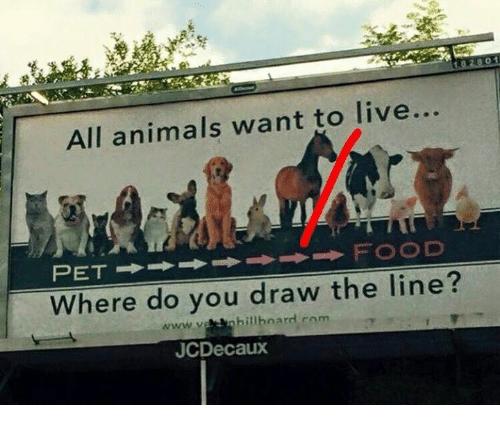 You Can Be An Animal Lover & Still Eat Meat: To You Vegans & Vegetarians!
