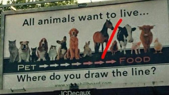 You Can Be An Animal Lover & Still Eat Meat: To You Vegans & Vegetarians!