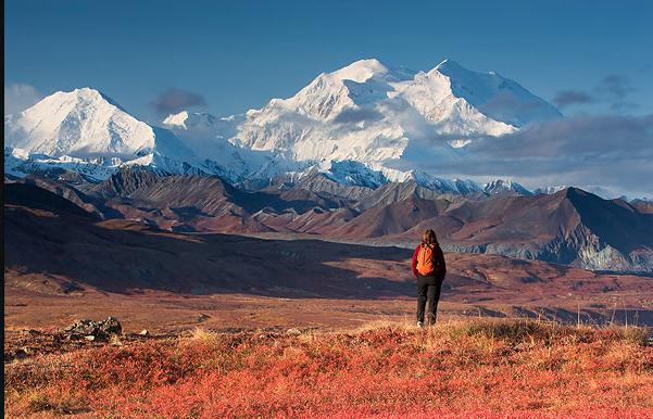 Hippies, Hermits and the Truth about "Returning to Nature"