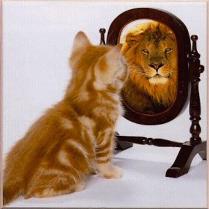 7 Reasons Why I Don't Want To Be "Jacked"