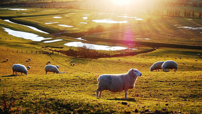 Pros & Cons Of Living The Country Life