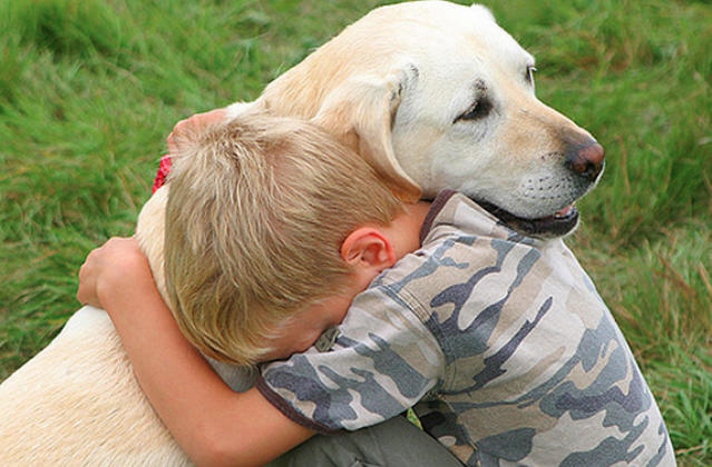 Are Animal Shelters Too Picky With Potential Adopters?