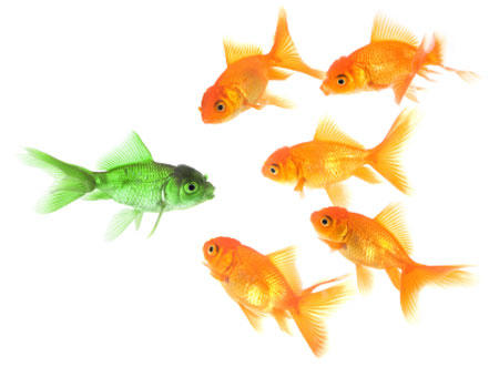 Autism: Not a Mental Disorder, But a Survival Leftover from Our Ancestors