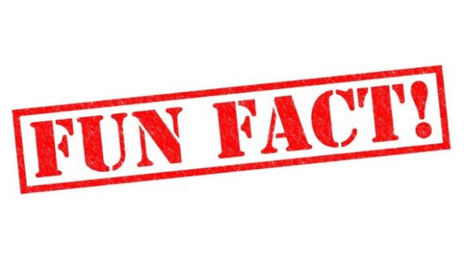 10 Interesting Facts You Probably Didn't Know